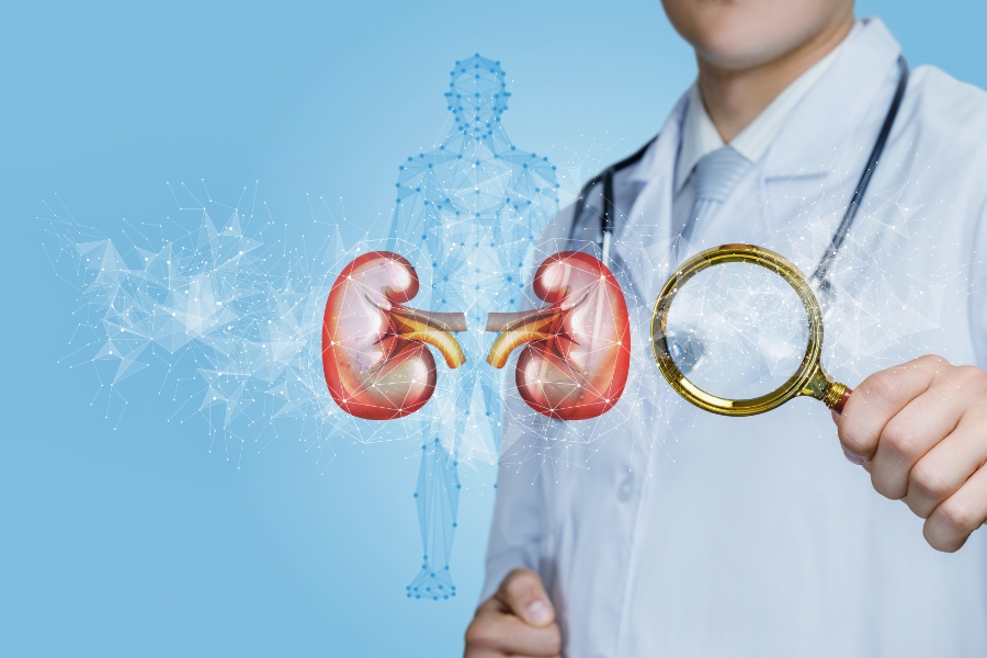 علاج حصوة الكلى خلال أربع ساعات