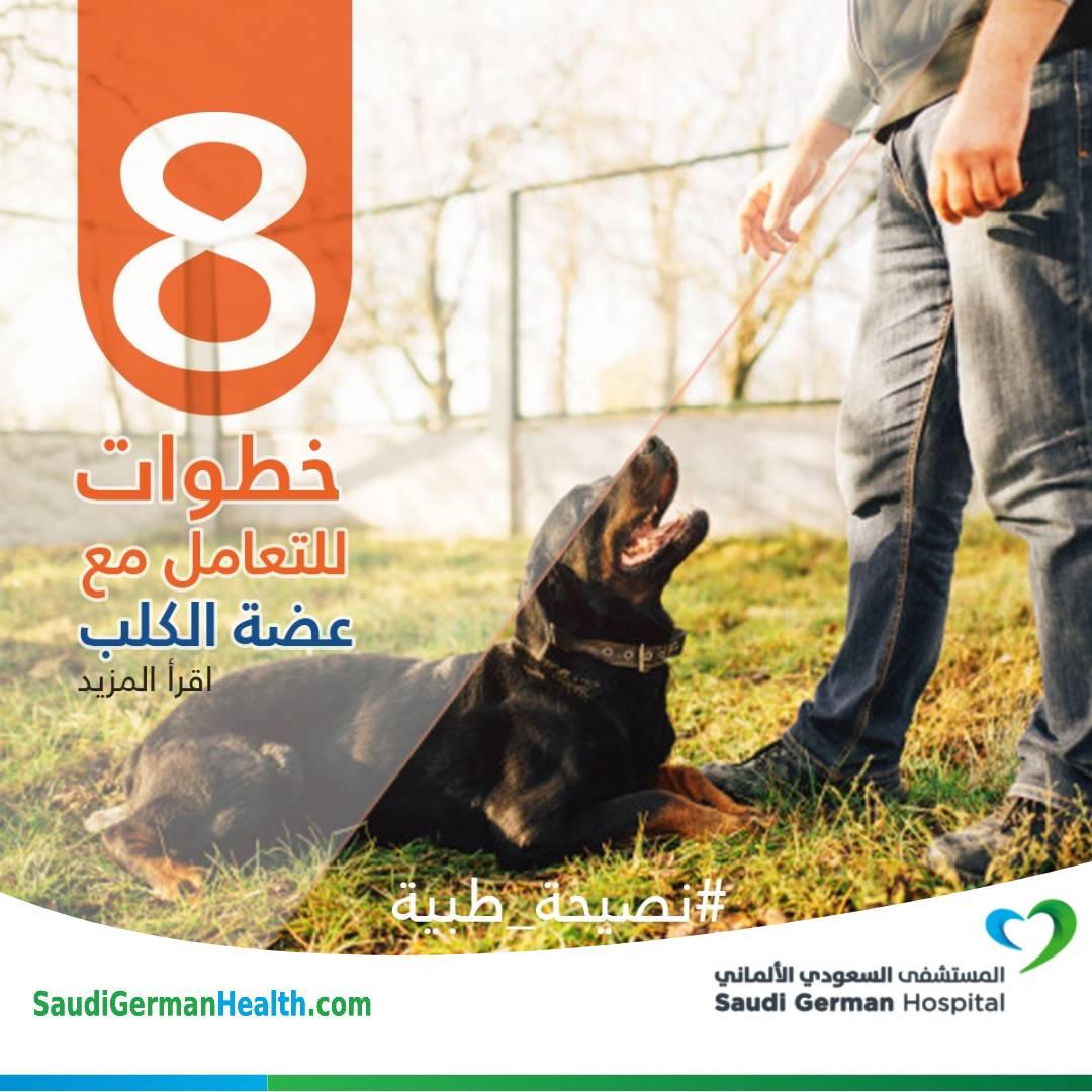8 خطوات للتعامل مع عضة الكلب