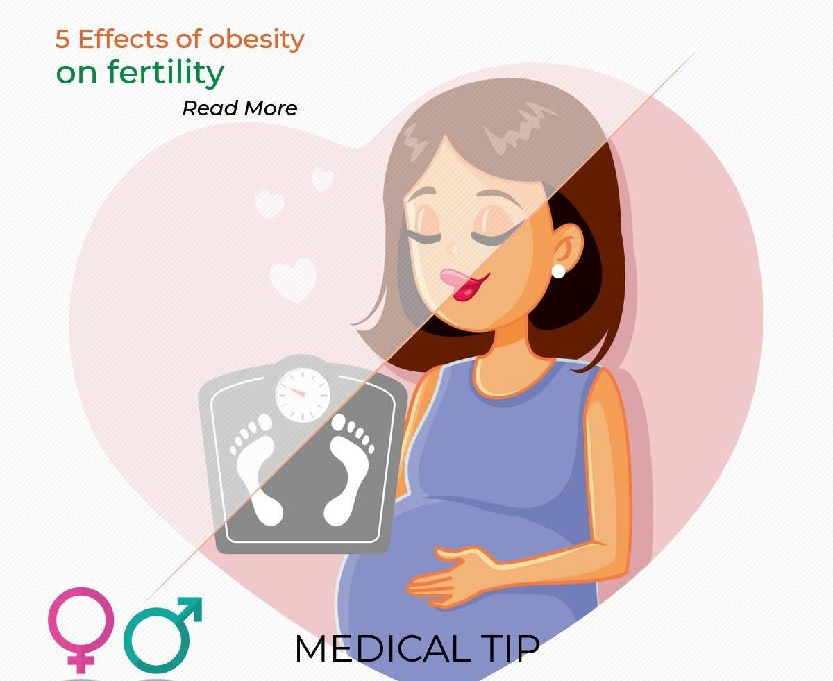 5 Effects of obesity on fertility