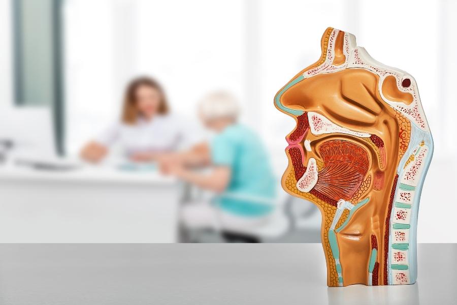 أفضل دكتور أذن وحنجرة في أبها